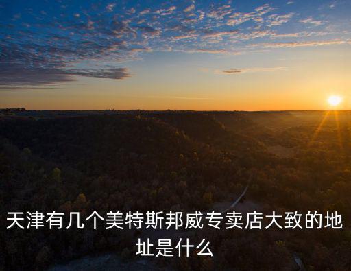 天津有幾個美特斯邦威專賣店大致的地址是什么