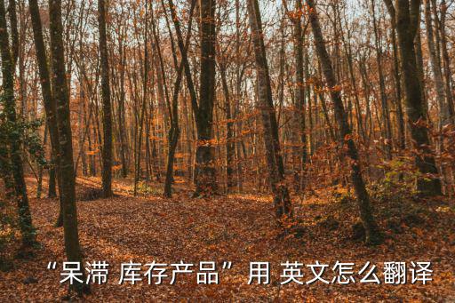 “呆滯 庫存產品”用 英文怎么翻譯