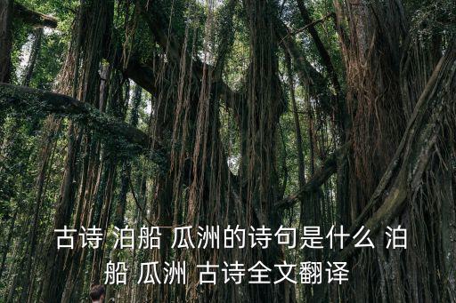 泊船瓜洲的古詩(shī),從瓜洲渡口向南望去看到了什么