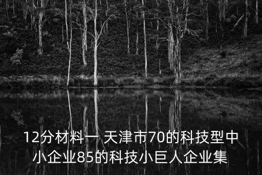 12分材料一 天津市70的科技型中小企業85的科技小巨人企業集