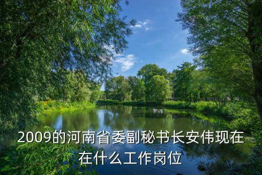 現任河南省副省級干部，2009的河南省委副秘書長安偉現在在什么工作崗位