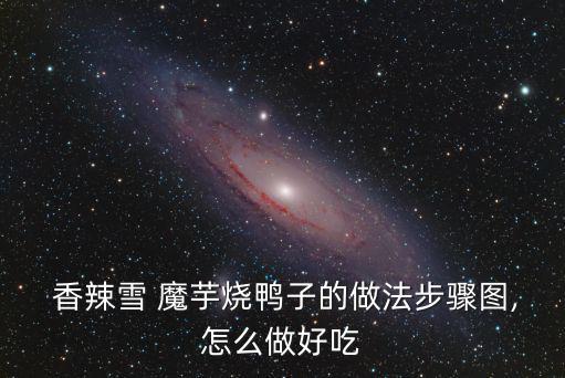  香辣雪 魔芋燒鴨子的做法步驟圖,怎么做好吃