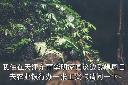 我住在天津東麗華明家園這邊我想周日去農業銀行辦一張工資卡請問一下
