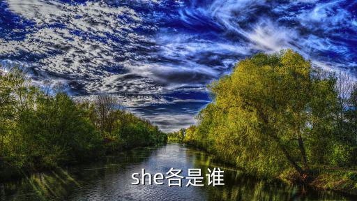 she成員,女歌手的成長軌跡