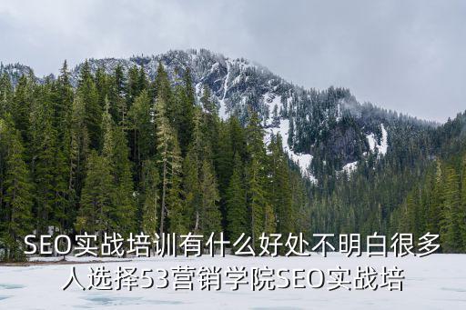 廣州品牌宣傳專注樂云seo，SEO實(shí)戰(zhàn)培訓(xùn)有什么好處不明白很多人選擇53營銷學(xué)院SEO實(shí)戰(zhàn)培