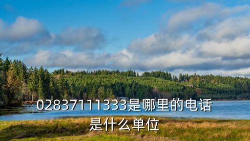 02837111333是哪里的電話是什么單位