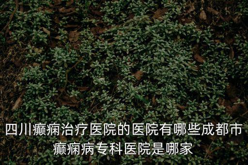 四川癲癇治療醫(yī)院的醫(yī)院有哪些成都市癲癇病專科醫(yī)院是哪家