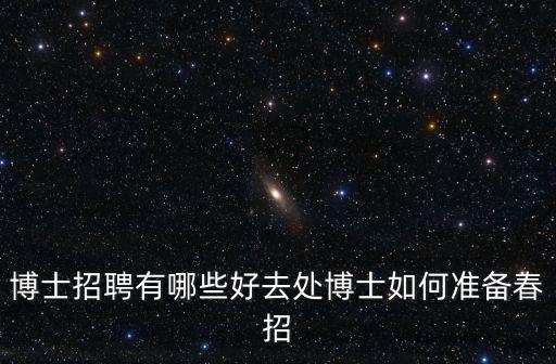 博士招聘有哪些好去處博士如何準備春招