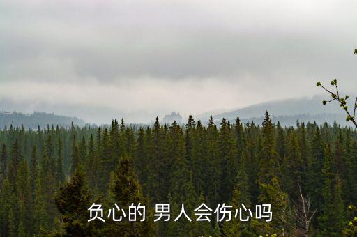 負(fù)心男人,負(fù)心漢引申:玩弄?jiǎng)e人愛(ài)情不專一男人