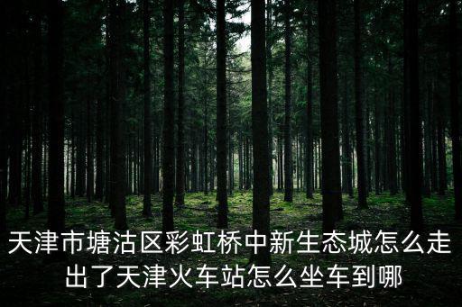天津市塘沽區彩虹橋中新生態城怎么走 出了天津火車站怎么坐車到哪