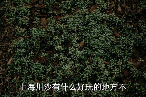 上海川沙有什么好玩的地方不