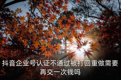 抖音企業號認證不通過被打回重做需要再交一次錢嗎
