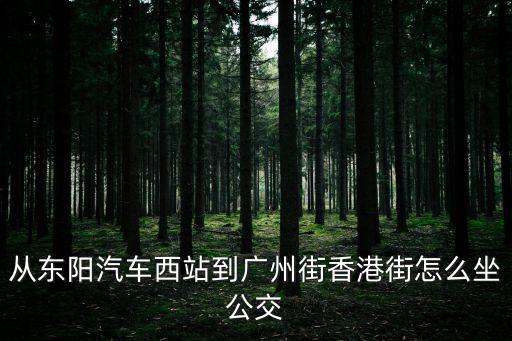 從東陽汽車西站到廣州街香港街怎么坐公交