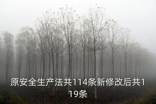 原安全生產法共114條新修改后共119條