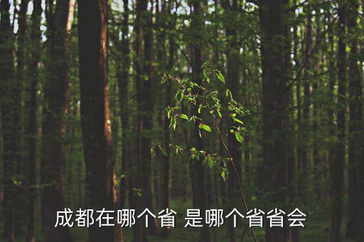 成都在哪個省 是哪個省省會