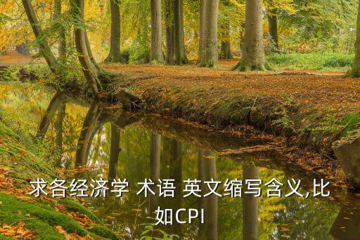 求各經濟學 術語 英文縮寫含義,比如CPI
