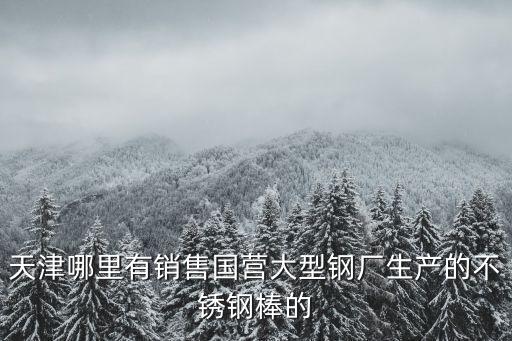 天津哪里有銷售國營大型鋼廠生產的不銹鋼棒的