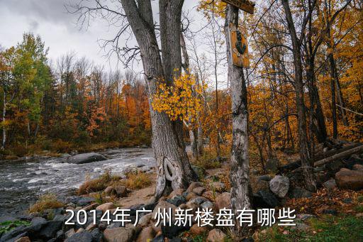 2014年廣州新樓盤有哪些