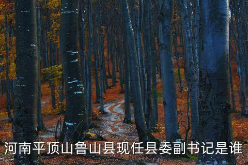 河南平頂山魯山縣現(xiàn)任縣委副書記是誰