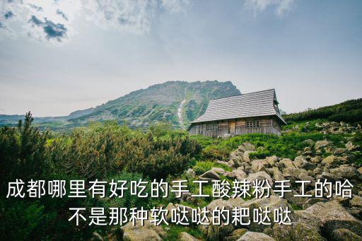 成都哪里有好吃的手工酸辣粉手工的哈不是那種軟噠噠的耙噠噠