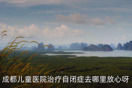 成都兒童醫院治療自閉癥去哪里放心呀