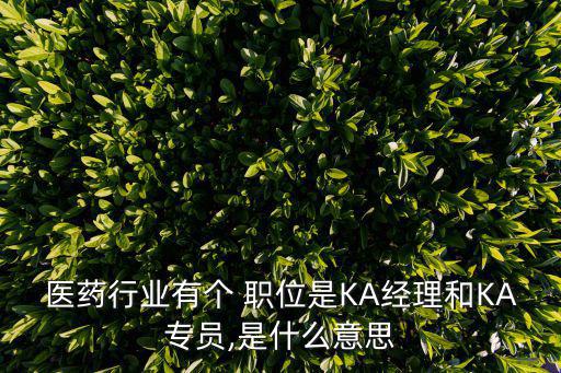 醫(yī)藥行業(yè)有個(gè) 職位是KA經(jīng)理和KA專(zhuān)員,是什么意思