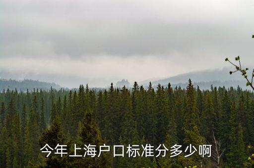 今年上海戶口標準分多少啊