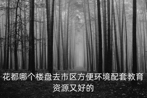 花都哪個(gè)樓盤(pán)去市區(qū)方便環(huán)境配套教育資源又好的