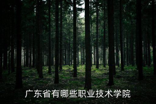廣州的那些職業技術院，廣州有哪幾個技術學校
