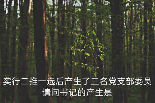 河南3名干部擬任新職務是什么，實行二推一選后產生了三名黨支部委員請問書記的產生是