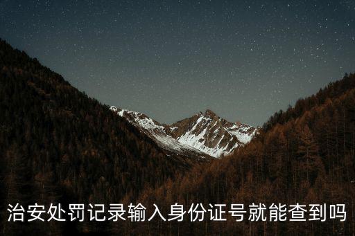 治安處罰記錄輸入身份證號就能查到嗎