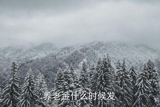 養(yǎng)老金什么時(shí)候發(fā)