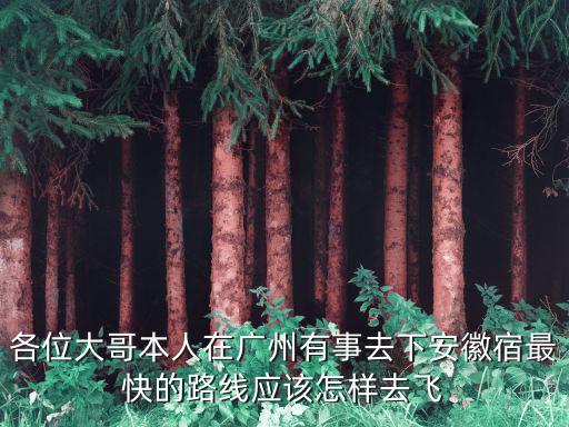 各位大哥本人在廣州有事去下安徽宿最快的路線應該怎樣去飛
