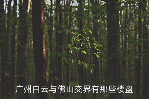 廣州白云與佛山交界有那些樓盤