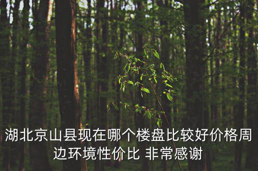 湖北京山縣現在哪個樓盤比較好價格周邊環境性價比 非常感謝