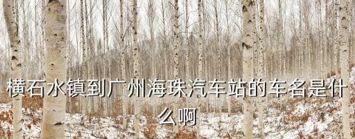 橫石水鎮到廣州海珠汽車站的車名是什么啊