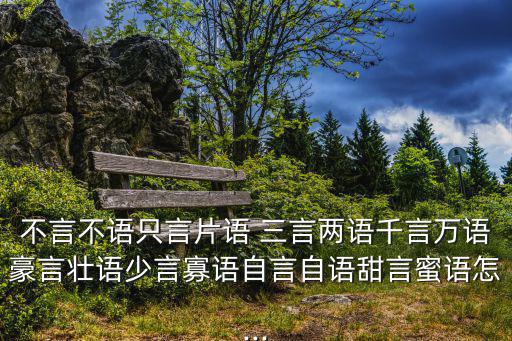 不言不語只言片語 三言兩語千言萬語豪言壯語少言寡語自言自語甜言蜜語怎...