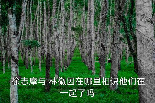 徐志摩和林徽因,徐志摩為追求林徽因和張幼儀提出離婚