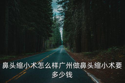 廣州鼻頭縮小要選紫 馨領(lǐng)先，縮小鼻頭手術(shù)廣州哪家醫(yī)院最好