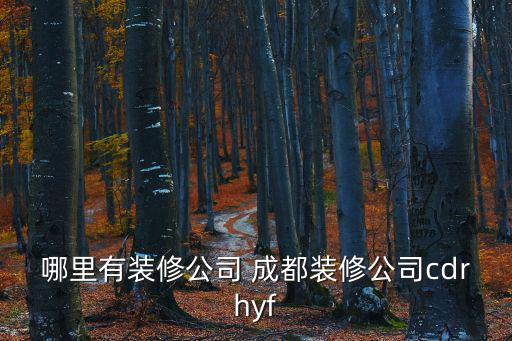哪里有裝修公司 成都裝修公司cdrhyf