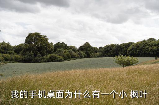 我的手機桌面為什么有一個小 楓葉