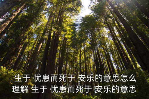 生于憂患而死于安樂,生于憂患，死于安樂的人生哲學