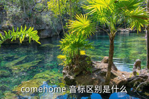 comehome 音標區別是什么