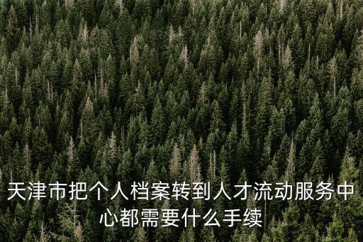 天津市把個人檔案轉到人才流動服務中心都需要什么手續