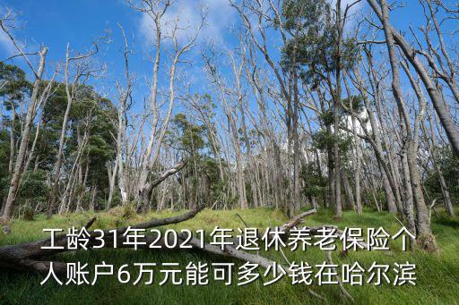 工齡31年2021年退休養(yǎng)老保險(xiǎn)個(gè)人賬戶(hù)6萬(wàn)元能可多少錢(qián)在哈爾濱