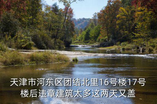 天津市河?xùn)|區(qū)團(tuán)結(jié)北里16號(hào)樓17號(hào)樓后違章建筑太多這兩天又蓋