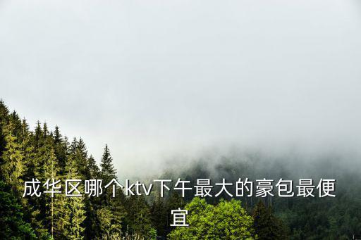 成華區哪個ktv下午最大的豪包最便宜