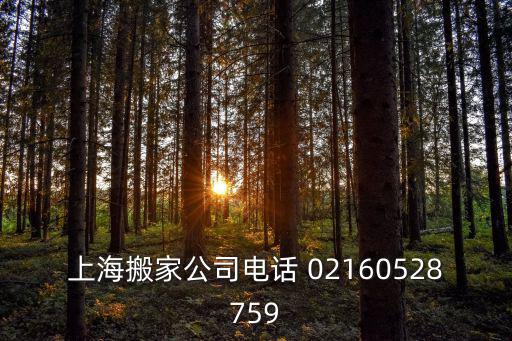 上海搬家公司電話 02160528759