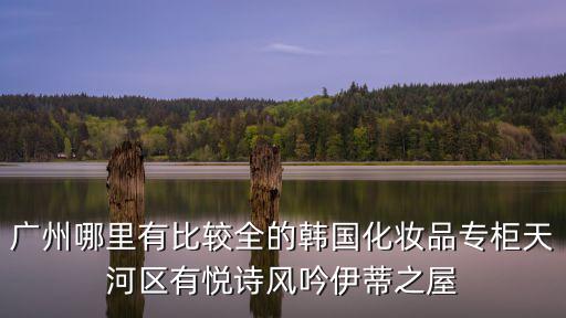 廣州哪里有比較全的韓國化妝品專柜天河區有悅詩風吟伊蒂之屋
