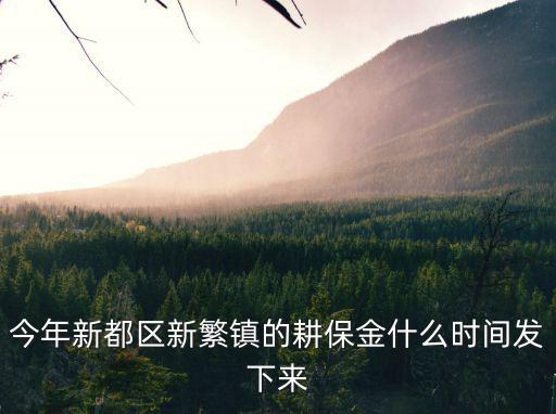 成都市2019年耕保金每畝多少，今年新都區新繁鎮的耕保金什么時間發下來